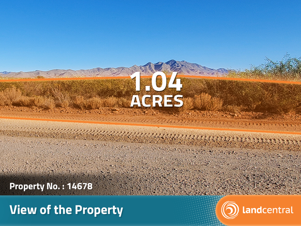 Over an acre of great property in a beautiful small desert town9