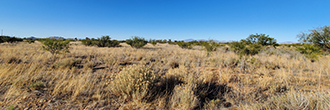 Just over an acre of a corner lot in this historic ghost town