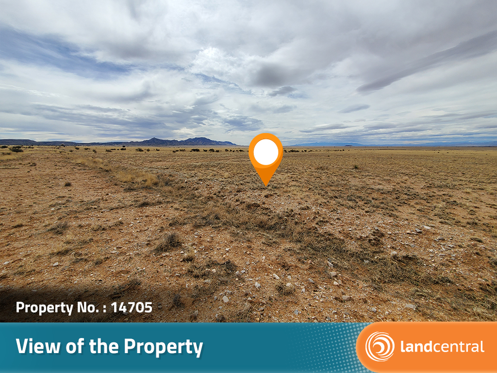 Gorgeous 5 acre property at the bottom of Manzano Peak6