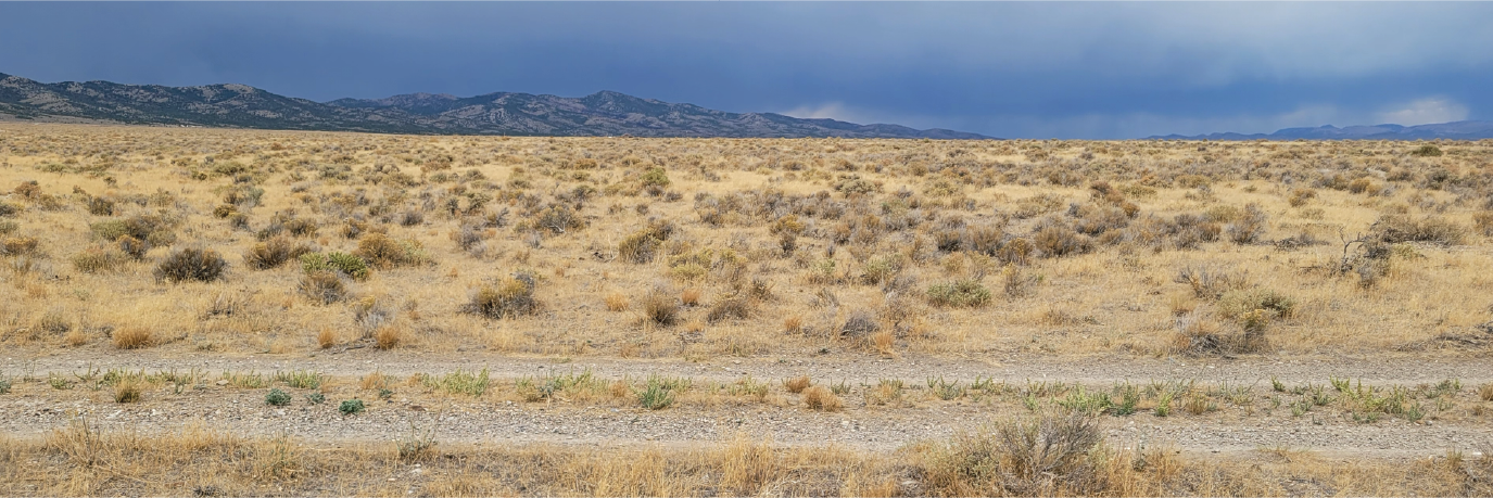 Gorgeous 40 acre corner property ready for your dream home