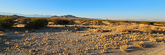 Over 10 acres of gorgeous farmland outside of Los Angeles