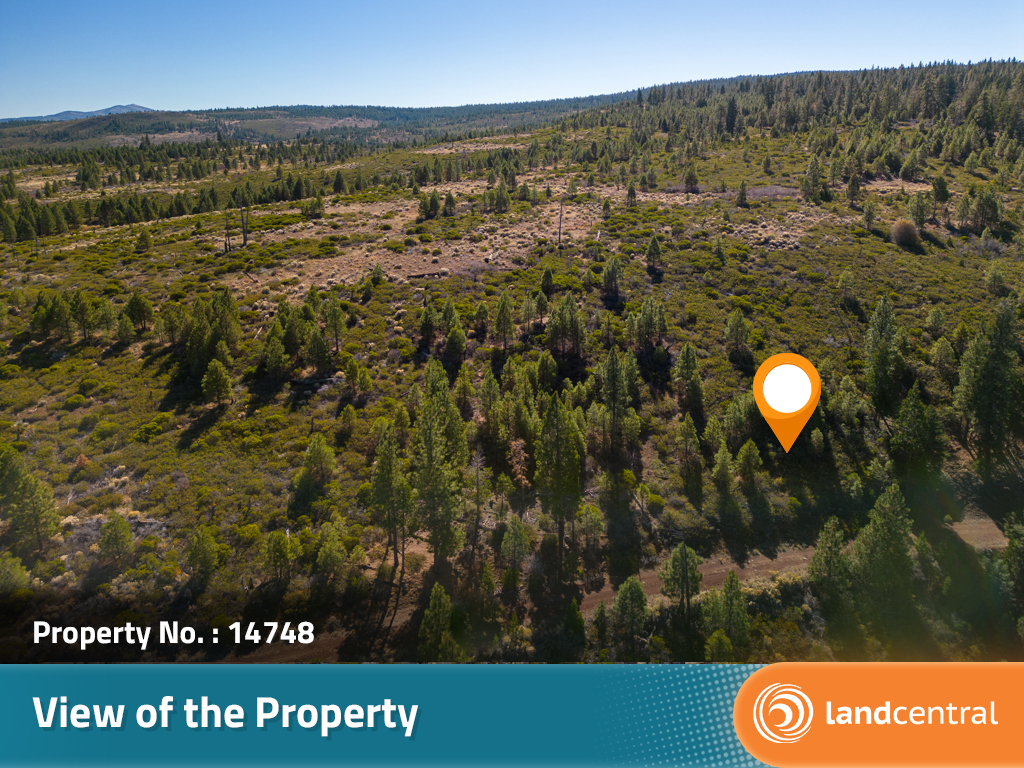 Large property just south of the Oregon border close to a lake8