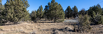 Large corner lot just outside the gorgeous Modoc National Forest