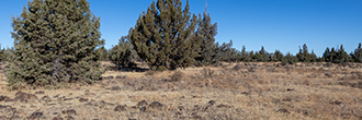 Spacious Lot in Modoc Recreational Estates