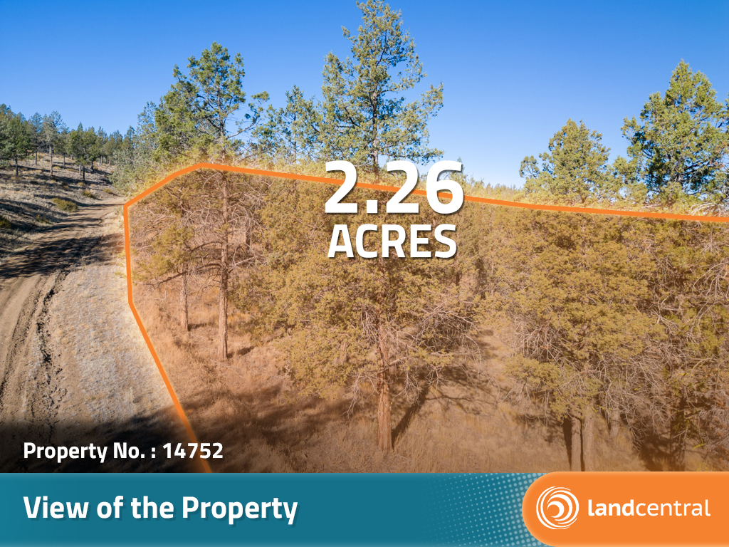 Well over two acres of a beautiful corner property outside of Alturas10
