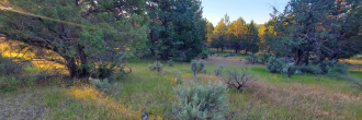 Vast property in Northern California