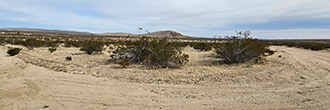 Almost two acres of desert perfection awaits you with this property
