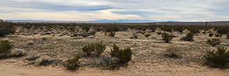 Almost two acres on a corner lot in an area full of desert perfection