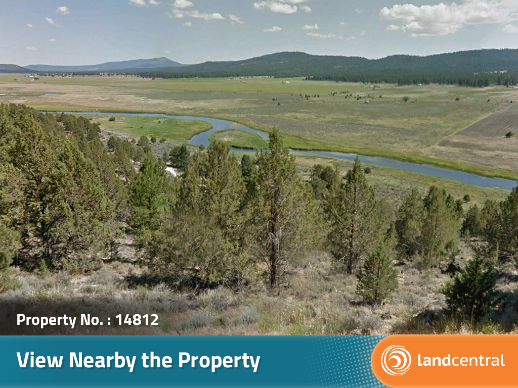 Large property in a gorgeous, secluded area not far off the highway7