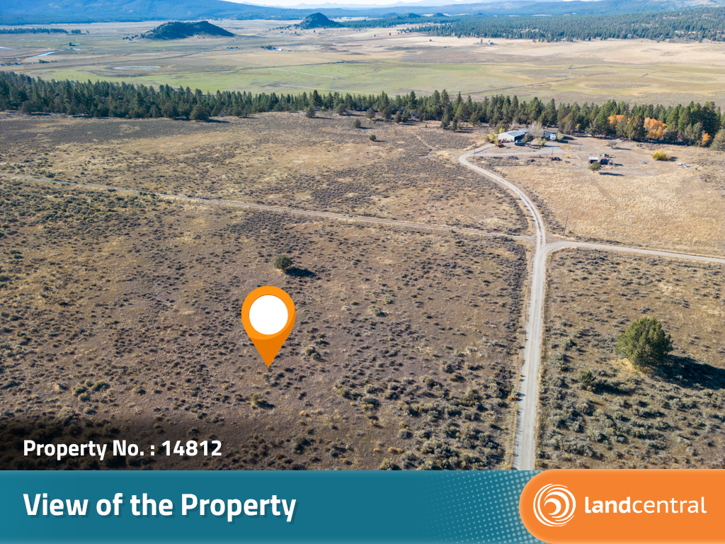 Large property in a gorgeous, secluded area not far off the highway4