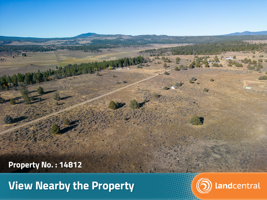 Large property in a gorgeous, secluded area not far off the highway5