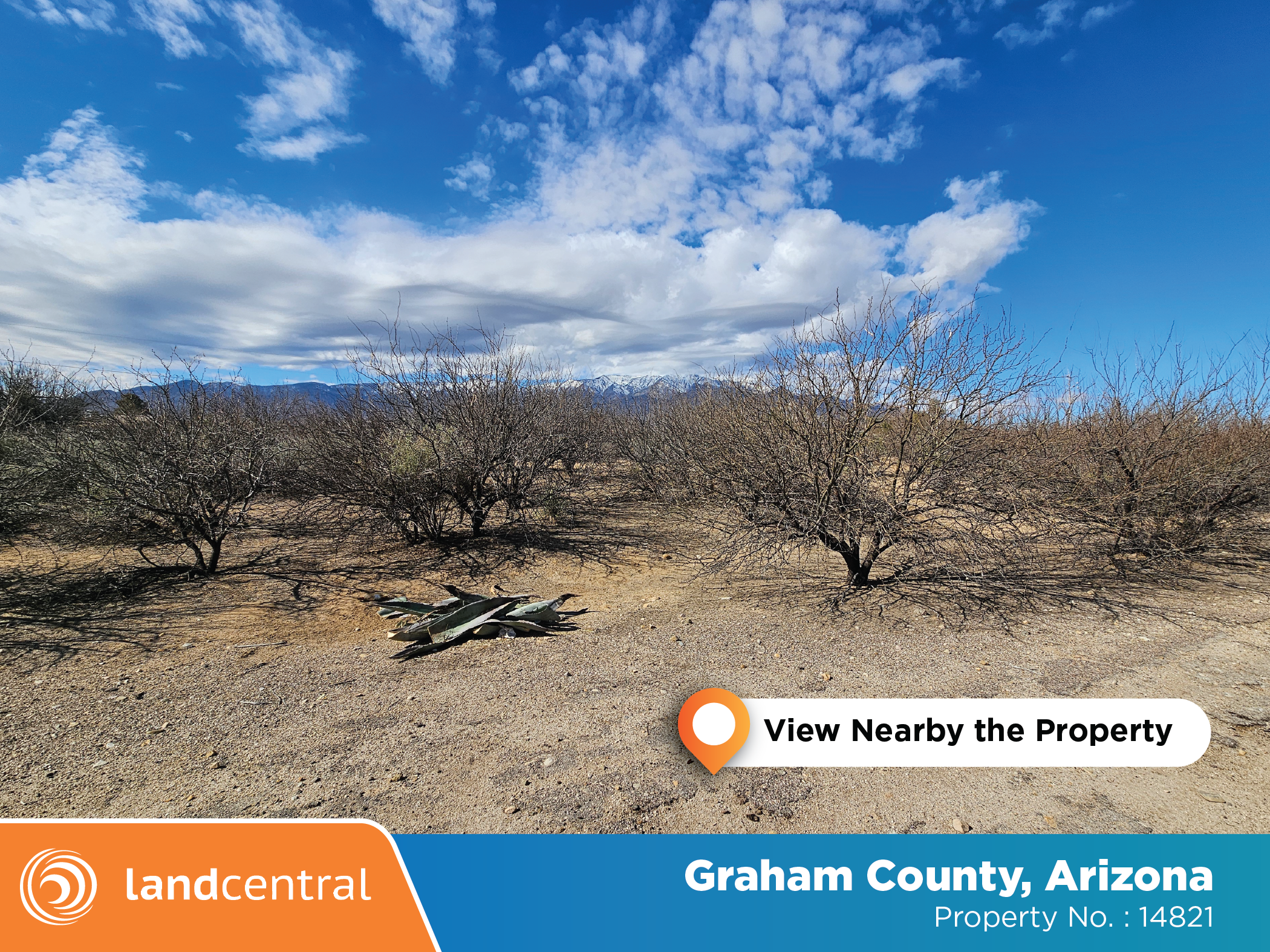 Peaceful property close to multiple national forests surrounded by small town4