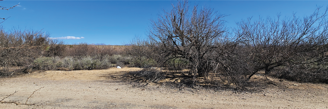 Peaceful property close to multiple national forests surrounded by small town
