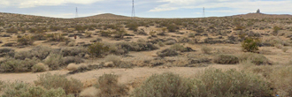 2.5 acres of desert beauty off HWY 395 leading to the mountains
