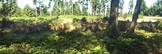 Amazing island property in the heart of Washington state
