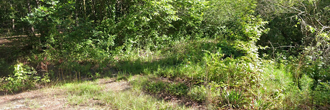 Nearly an acre of gorgeous land steps away from the Coosa River
