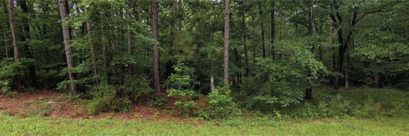 Great property at the end of a tiny culdesac not far off the highway