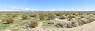 Beautiful California desert property at the edge of a sweet town