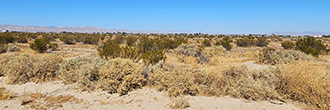 Beautiful California desert property at the edge of a sweet town