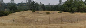 Tranquil Lot in Rancho Tehama, Corning, CA