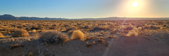 Stunning 40 acre property in the heart of the California desert