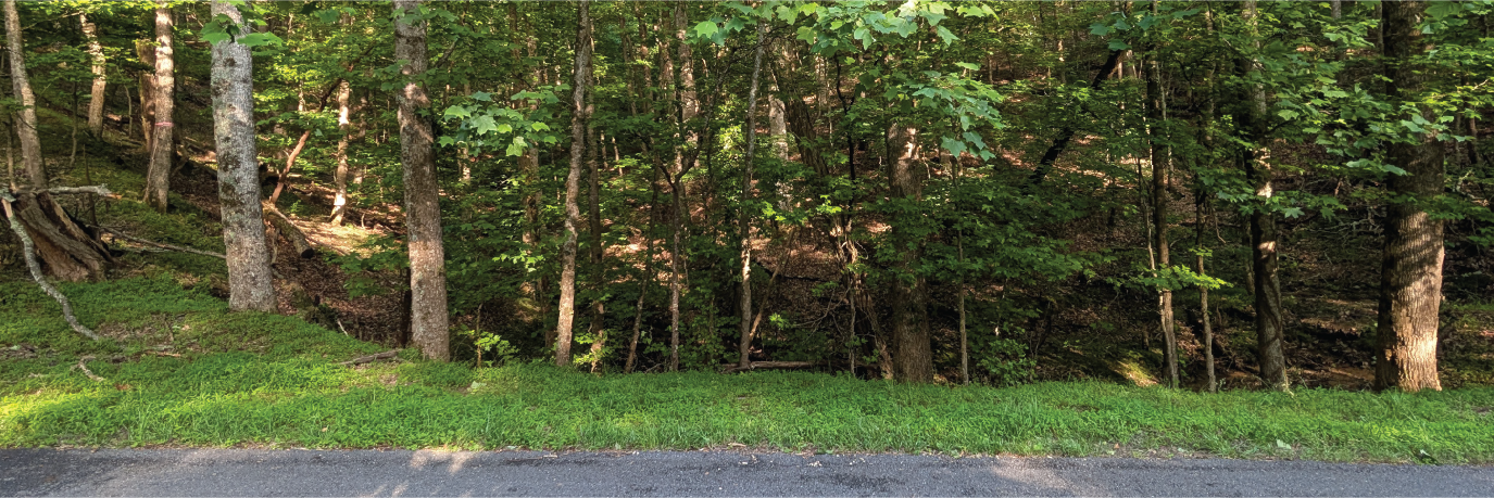Almost two acres of usable property in a gorgeous community