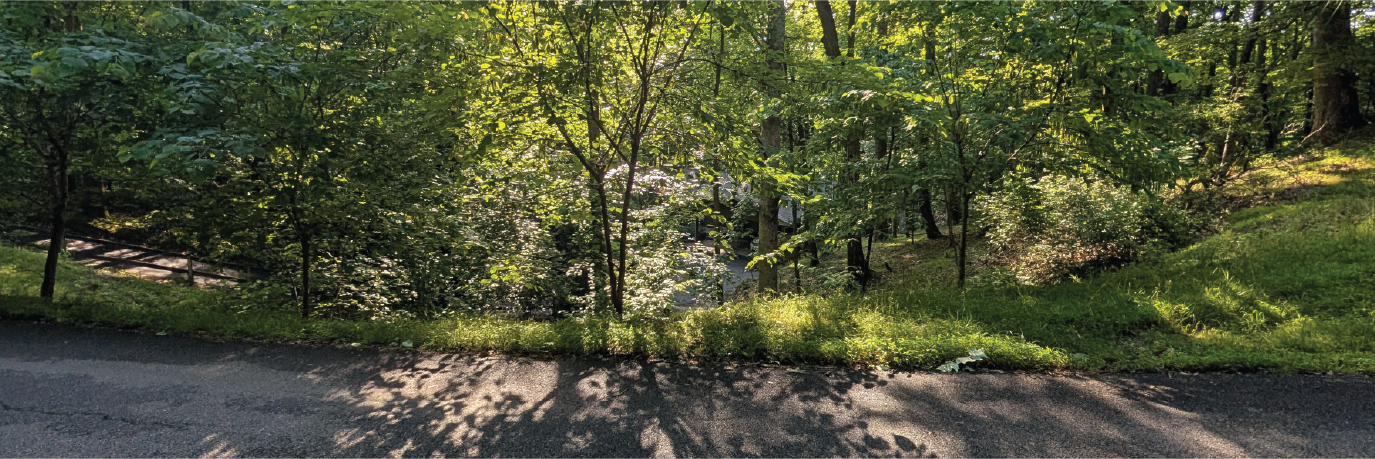 Great half acre lot just outside the Chattahoochee National Forest