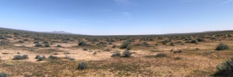 Almost two acres of gorgeous desert land outside of the city