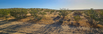 Almost two acres of gorgeous desert land outside of the city