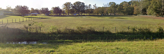 Heavily Treed Lot Near Hillsborough River in Zephyrhills