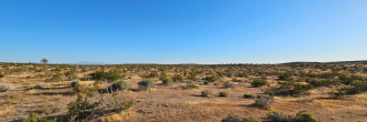Rare gem of five acres of untouched land in the gorgeous desert