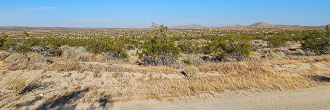 Acreage Abundance: 20 Acres of Prime Land Available in 93535