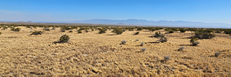 Amazing five acre secluded property in the expansive desert