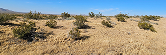 Large 10 acre property in the quiet desert not far from the city