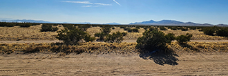 Expansive opportunity awaits on this 40 acre desert property