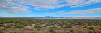 More than 10 acres of beautiful land not far off the highway