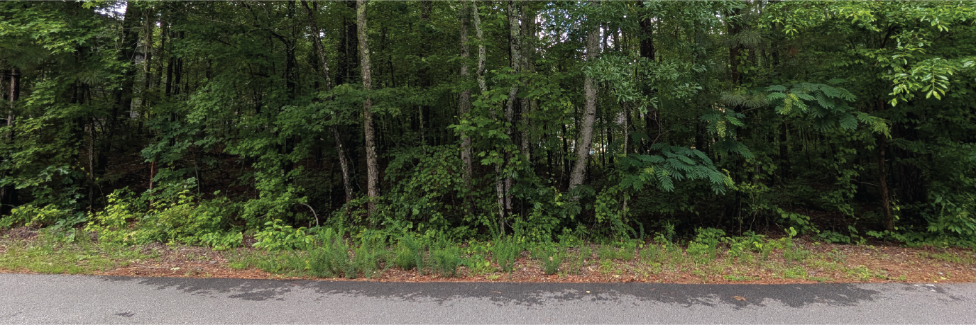 Nice property in a sweet community walking distance to the lake