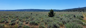 Expansive 20 plus acre property in the beauty of Termo, CA