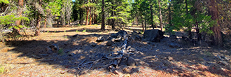 Large property talked away in the gorgeous pines of northern CA