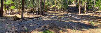 Just over an acre of secluded beauty in the gorgeous pines of CA