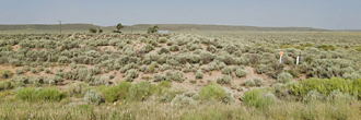 Almost five acre property tucked away into the beauty of Colorado