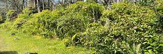 Perfect opportunity to own a gorgeous piece of paradise