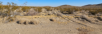 Beautiful property a bit outside of Adelanto with gorgeous views