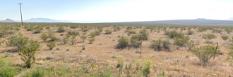 Your desert dream land awaits you on this amazing 40 acre lot