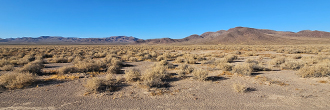 Your desert dream land awaits you on this amazing 40 acre lot