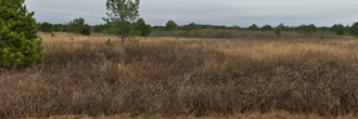 Large property on the outskirts of a peaceful town