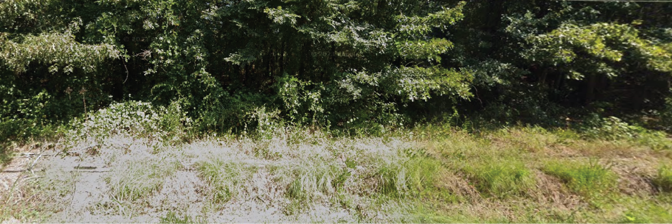 Gorgeous property in a well developed and mature neighborhood