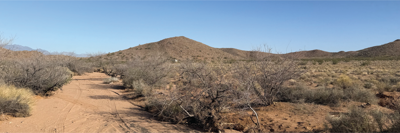 Great property full of potential not too far outside of Las Vegas