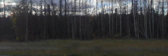 Amazing 10 acre property of an Alaskan dream available for you!