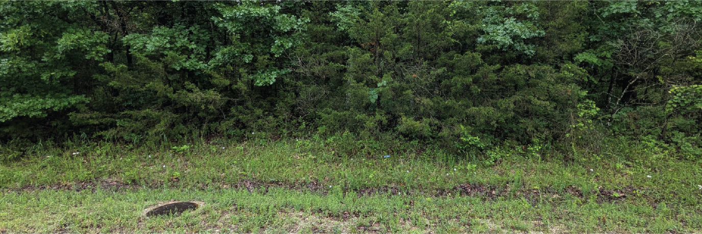 Tranquil Wooded Lot Near Holiday Island